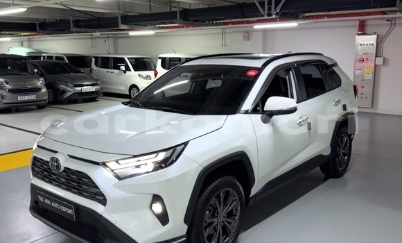 Acheter Occasion Voiture Toyota RAV4 Blanc à Domoni, Anjouan Acheter Occasion Voiture Toyota RAV4 Blanc à Domoni, Anjouan