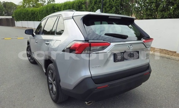 Acheter Occasion Voiture Toyota RAV4 Gris à Import - Dubai, Grande Comore Acheter Occasion Voiture Toyota RAV4 Gris à Import - Dubai, Grande Comore