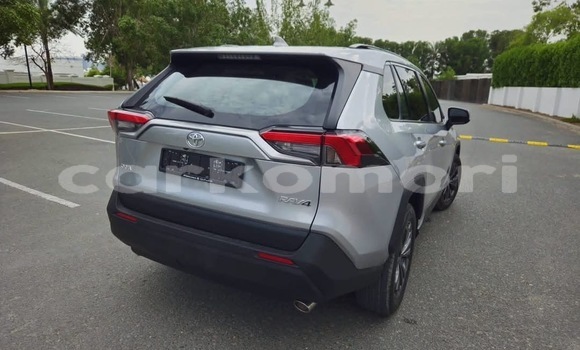 Acheter Occasion Voiture Toyota RAV4 Gris à Import - Dubai, Grande Comore Acheter Occasion Voiture Toyota RAV4 Gris à Import - Dubai, Grande Comore