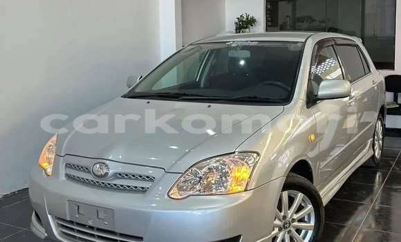 Acheter Occasion Voiture Toyota Allex Gris à Import - Dubai, Grande Comore Acheter Occasion Voiture Toyota Allex Gris à Import - Dubai, Grande Comore