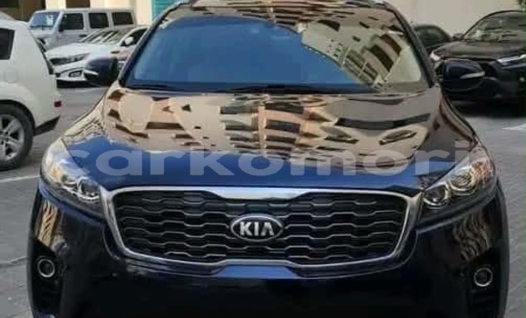 Acheter Occasion Voiture Kia Sorento Noir à Import - Dubai, Grande Comore