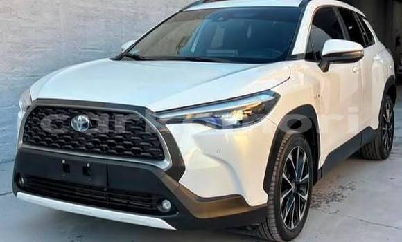 Acheter Occasion Voiture Toyota Corolla Cross Blanc à Domoni, Anjouan