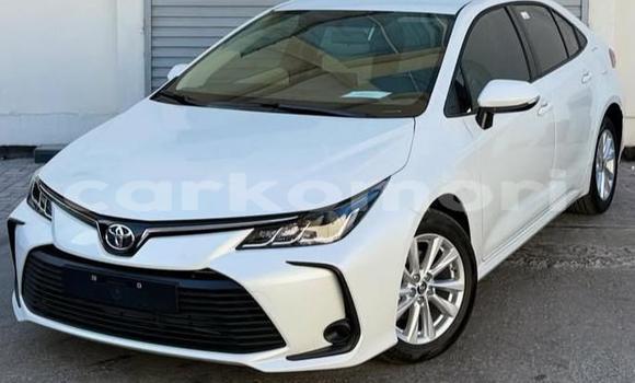 Acheter Occasion Voiture Toyota Corolla Blanc à Domoni, Anjouan