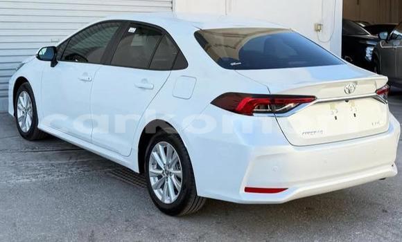 Acheter Occasion Voiture Toyota Corolla Blanc à Domoni, Anjouan Acheter Occasion Voiture Toyota Corolla Blanc à Domoni, Anjouan