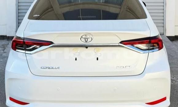 Acheter Occasion Voiture Toyota Corolla Blanc à Domoni, Anjouan Acheter Occasion Voiture Toyota Corolla Blanc à Domoni, Anjouan