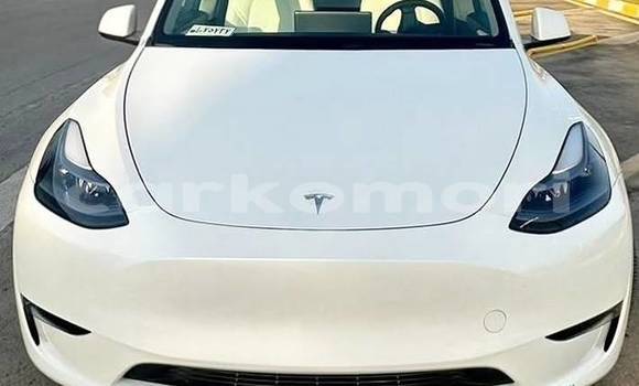 Acheter Occasion Voiture Tesla Model X Blanc à Domoni, Anjouan