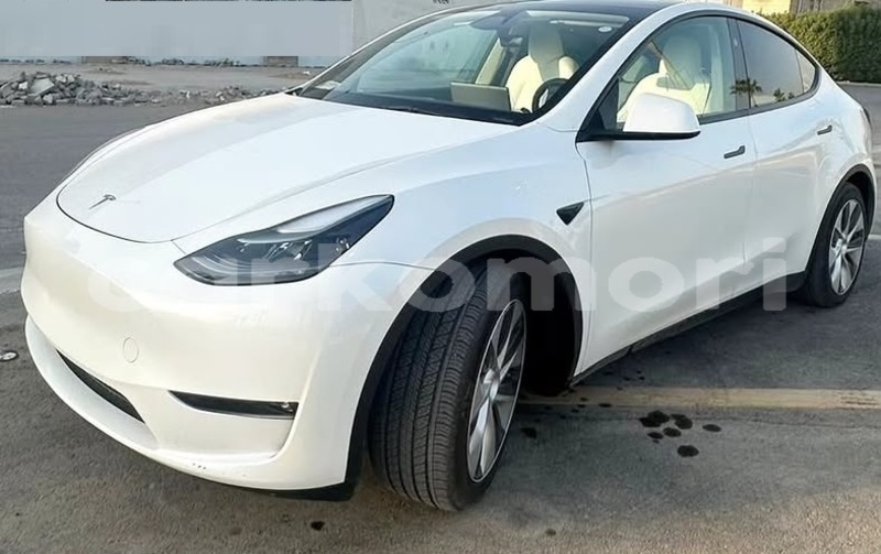 Big with watermark tesla model x anjouan domoni 4080