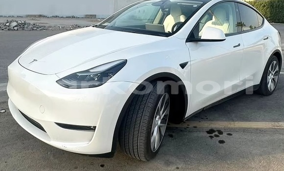 Acheter Occasion Voiture Tesla Model X Blanc à Domoni, Anjouan Acheter Occasion Voiture Tesla Model X Blanc à Domoni, Anjouan