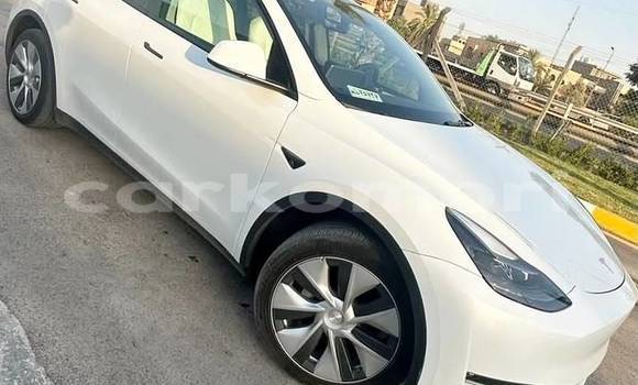 Acheter Occasion Voiture Tesla Model X Blanc à Domoni, Anjouan Acheter Occasion Voiture Tesla Model X Blanc à Domoni, Anjouan