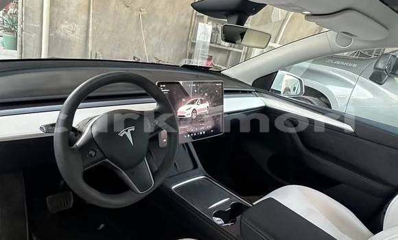 Acheter Occasion Voiture Tesla Model X Blanc à Domoni, Anjouan Acheter Occasion Voiture Tesla Model X Blanc à Domoni, Anjouan