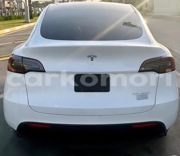 Big with watermark tesla model x anjouan domoni 4080