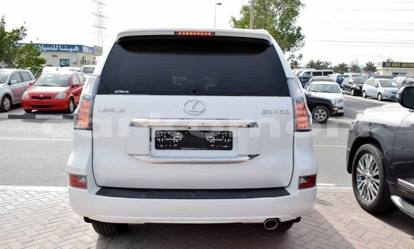 Acheter Import Voiture Lexus GX Blanc à Import - Dubai, Grande Comore Acheter Import Voiture Lexus GX Blanc à Import - Dubai, Grande Comore