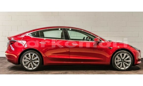 Buy Import Tesla Model 3 Red Car in Import - Dubai in Great Comore Buy Import Tesla Model 3 Red Car in Import - Dubai in Great Comore