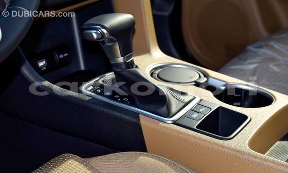 Buy Import Kia Sportage Other Car in Import - Dubai in Great Comore Buy Import Kia Sportage Other Car in Import - Dubai in Great Comore