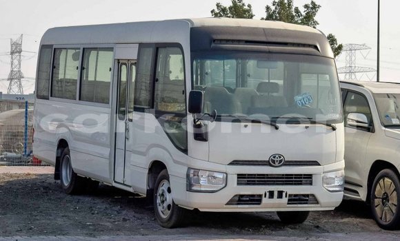 Buy Import Toyota Coaster White Car in Import - Dubai in Great Comore Buy Import Toyota Coaster White Car in Import - Dubai in Great Comore