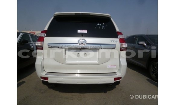 Acheter Import Voiture Toyota Prado Blanc à Import - Dubai, Grande Comore Acheter Import Voiture Toyota Prado Blanc à Import - Dubai, Grande Comore