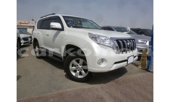 Buy Import Toyota Prado White Car in Import - Dubai in Great Comore
