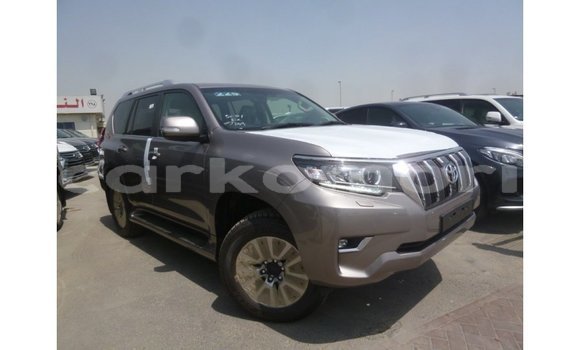 Buy Import Toyota Prado Brown Car in Import - Dubai in Great Comore