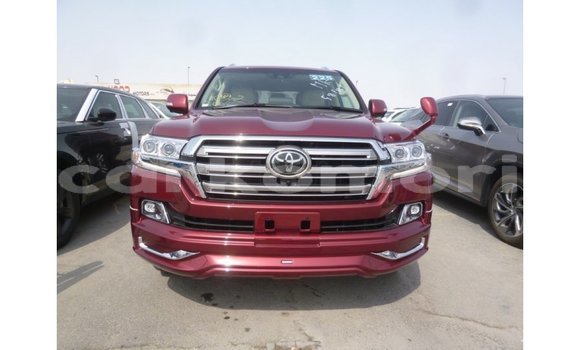 Buy Import Toyota Land Cruiser Other Car in Import - Dubai in Great Comore