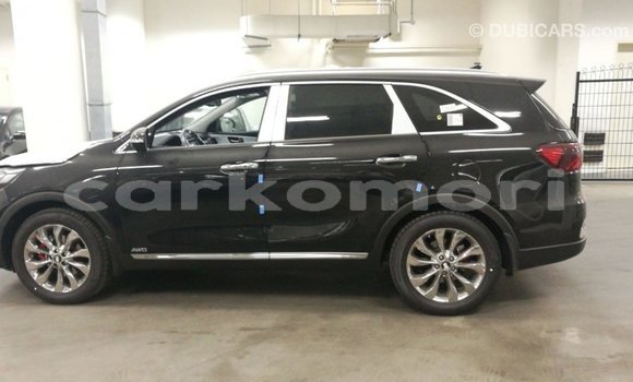 Buy Import Kia Sorento Brown Car in Import - Dubai in Great Comore Buy Import Kia Sorento Brown Car in Import - Dubai in Great Comore