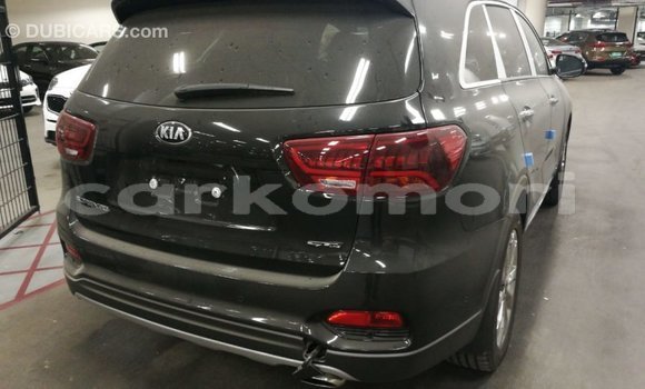 Buy Import Kia Sorento Brown Car in Import - Dubai in Great Comore Buy Import Kia Sorento Brown Car in Import - Dubai in Great Comore