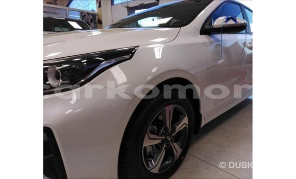 Buy Import Kia Cerato White Car in Import - Dubai in Great Comore Buy Import Kia Cerato White Car in Import - Dubai in Great Comore
