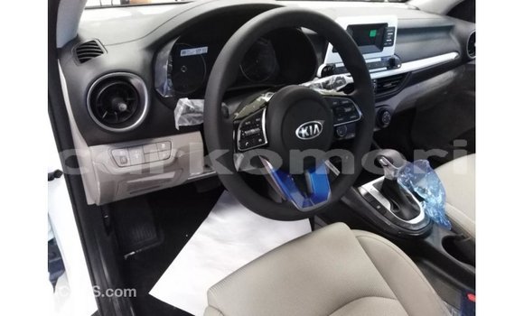Buy Import Kia Cerato White Car in Import - Dubai in Great Comore Buy Import Kia Cerato White Car in Import - Dubai in Great Comore