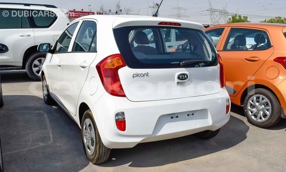 Acheter Import Voiture Kia Picanto Blanc à Import - Dubai, Grande Comore Acheter Import Voiture Kia Picanto Blanc à Import - Dubai, Grande Comore