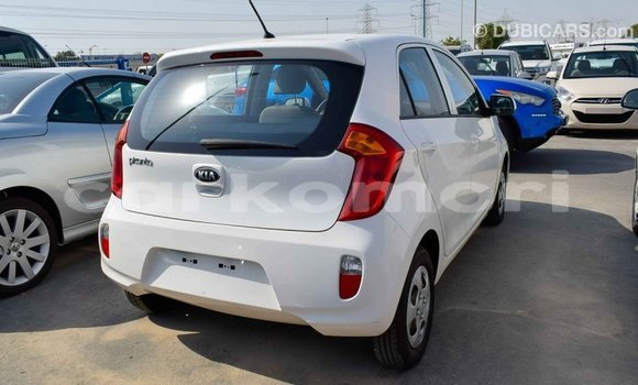 Acheter Import Voiture Kia Picanto Blanc à Import - Dubai, Grande Comore Acheter Import Voiture Kia Picanto Blanc à Import - Dubai, Grande Comore