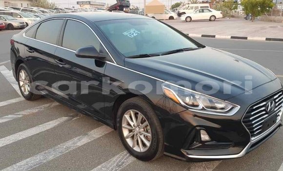 Acheter Import Voiture Hyundai Sonata Noir à Import - Dubai, Grande Comore Acheter Import Voiture Hyundai Sonata Noir à Import - Dubai, Grande Comore