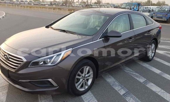Acheter Import Voiture Hyundai Sonata Marron à Import - Dubai, Grande Comore Acheter Import Voiture Hyundai Sonata Marron à Import - Dubai, Grande Comore