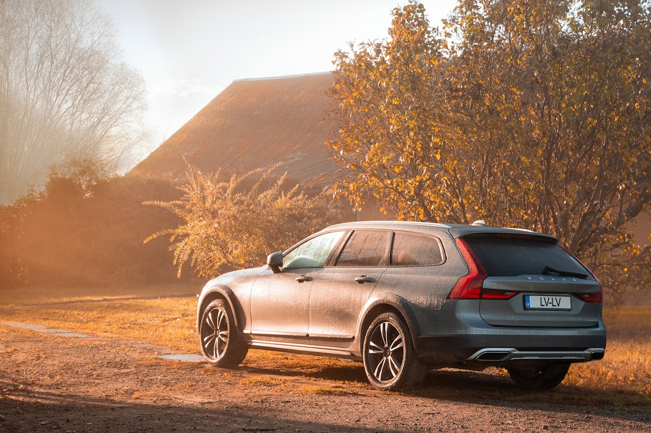 Pexels lauma augstkalne 322733111 29561592